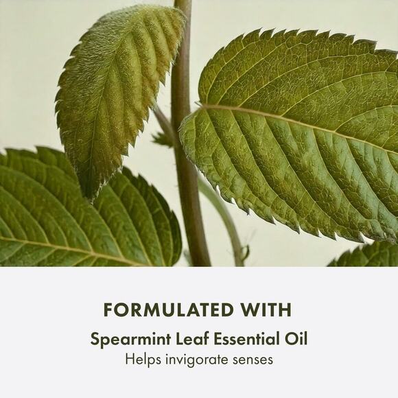 Origins CHECKS AND BALANCES™
Frothy Face Wash - NIB - Picture 4 of 8